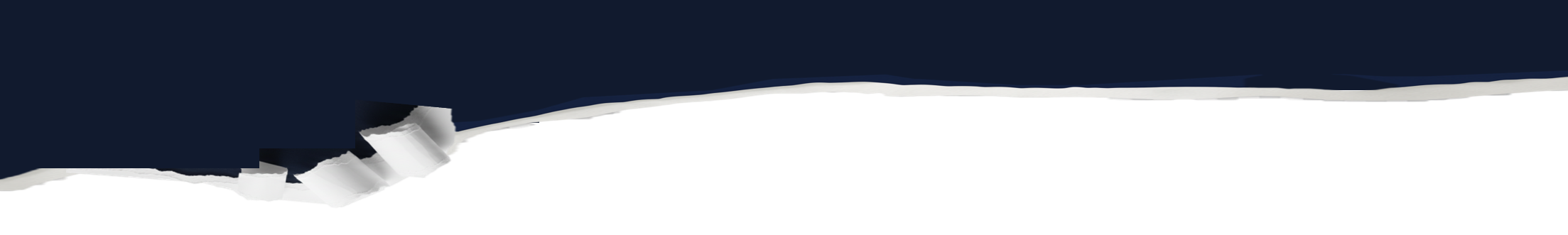 Fondo decorativo sección inferior